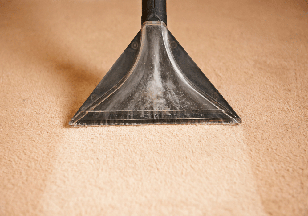 carpet cleaner in a clean home
