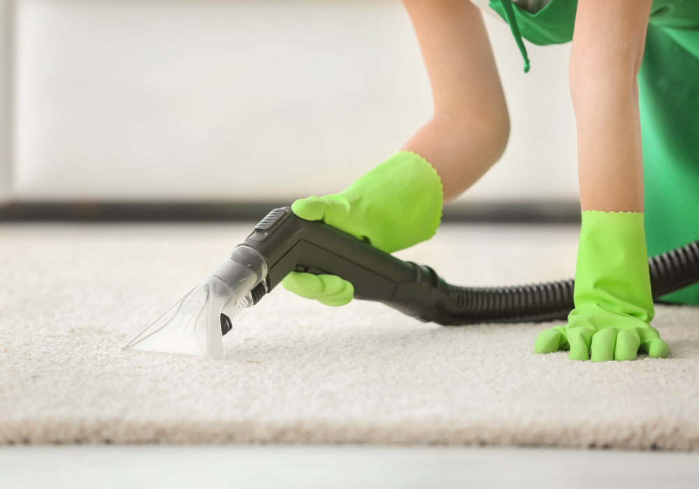 The Importance of Using Pet Friendly Carpet Cleaners