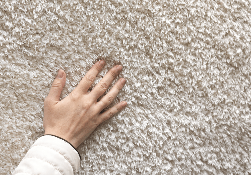 carpet cleaners fresh carpets