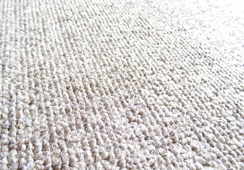 carpet cleaning services for homes