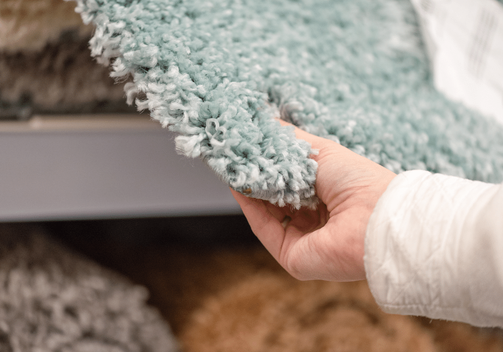 carpet cleaning for mold