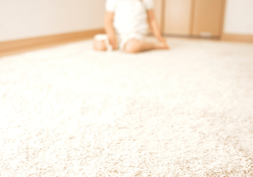 clean carpets in a home