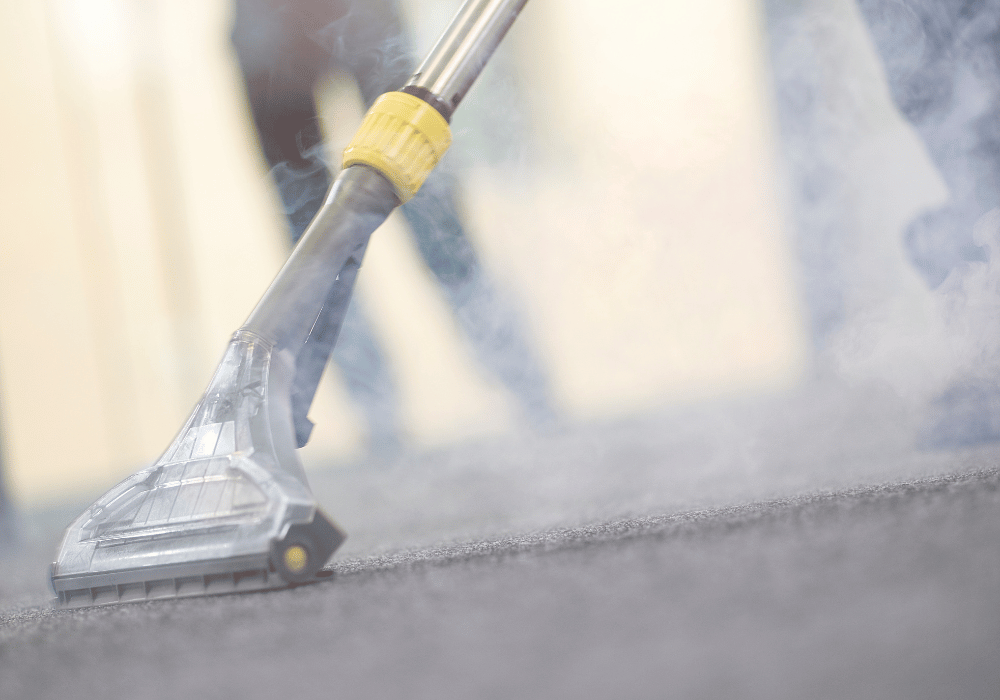 steam cleaning carpets in a home